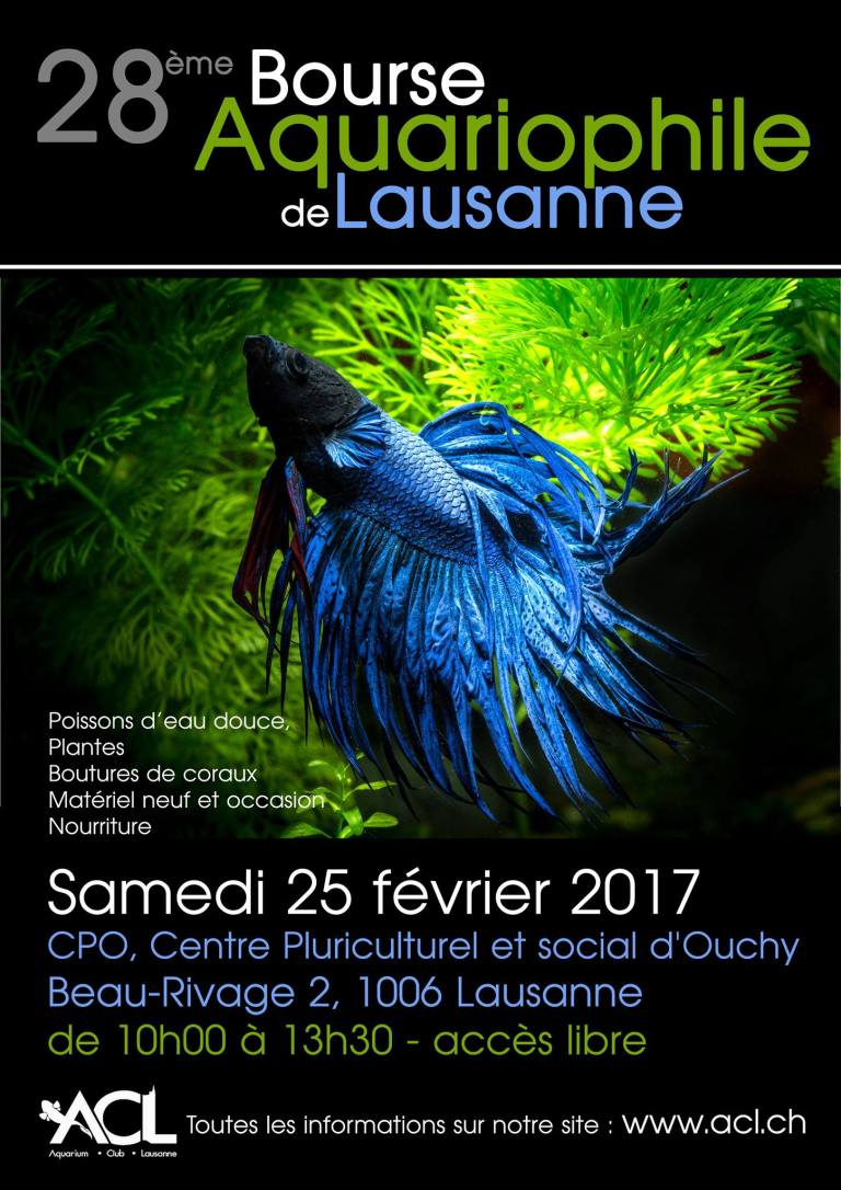 affiche_bourse_2017