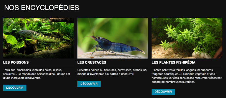 Capture d'écran 2018-01-02 14.47.07