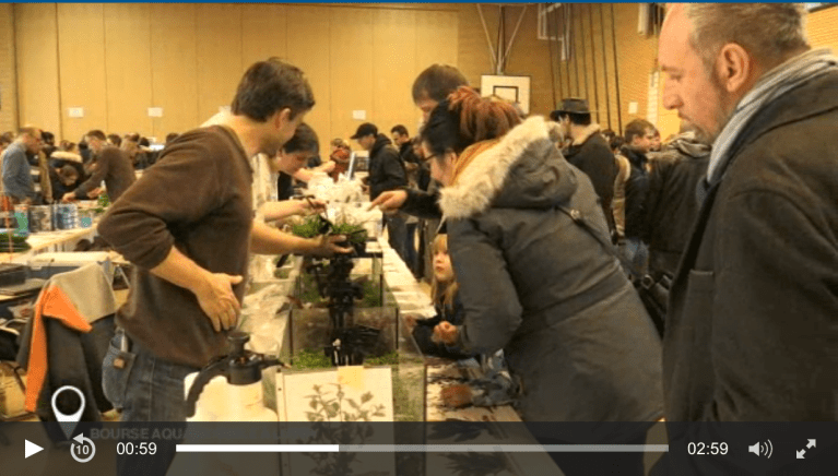 Capture d'écran 2018-02-21 20.25.36