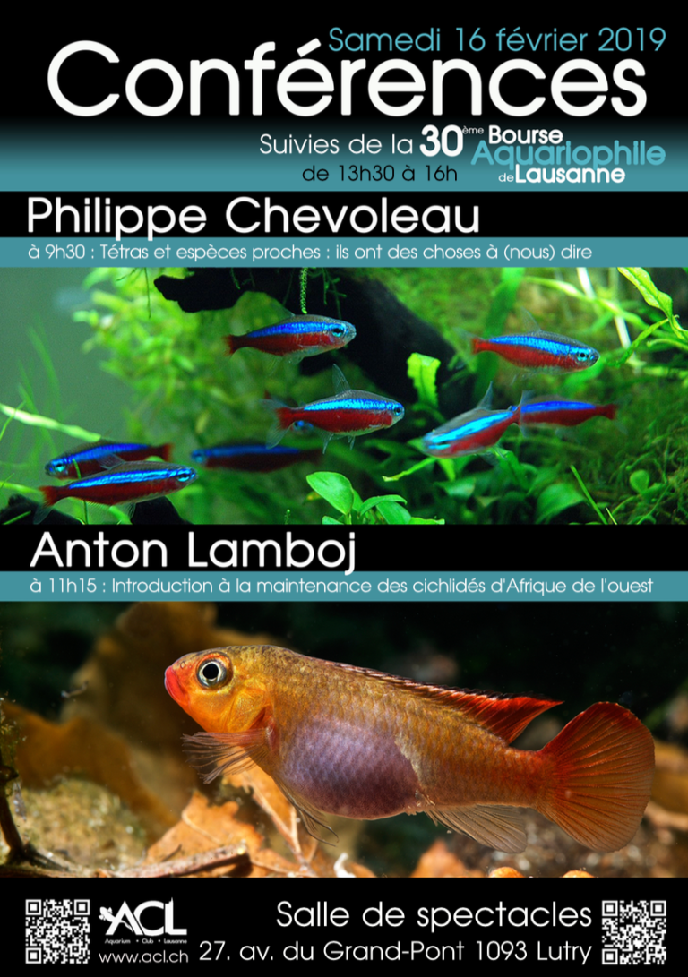 Capture d_écran 2018-12-19 à 14.27.50