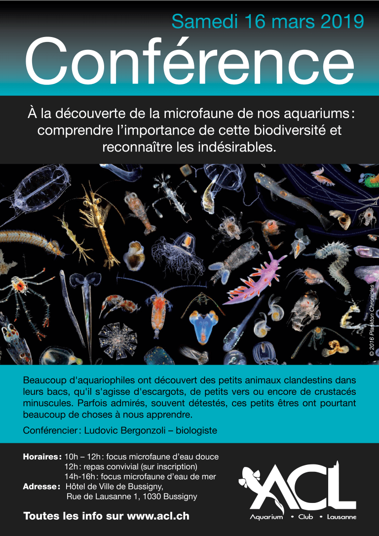 affiche conférence final